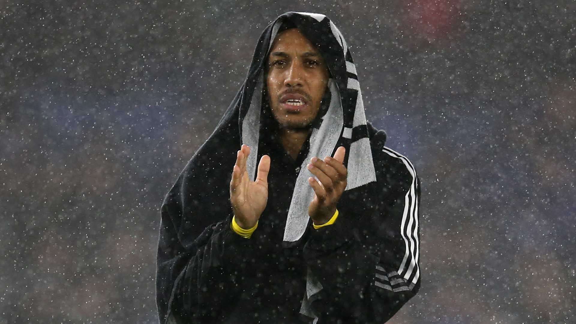 表现同样让 表现同样让